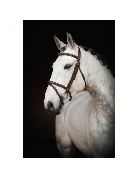 Lippo Träns Fancy Slim