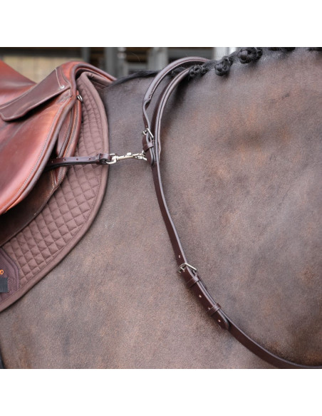 Shires Velociti Gara Halsrem m handtag