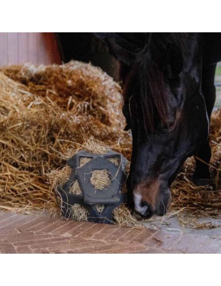 Kentucky Relax Hay Ball