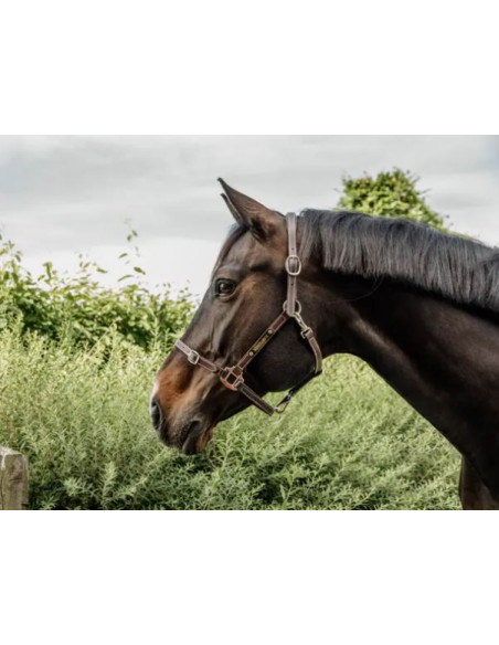 Kentucky Leather Halter flexible