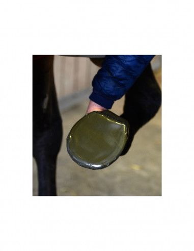 Kentucky Sole Tape 5-pack