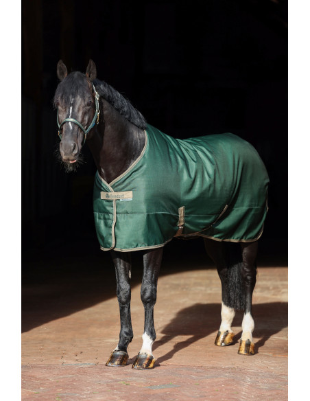 Bucas Freedom Stable 300