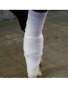 Polstervadd10cmx3m 4-pack 2