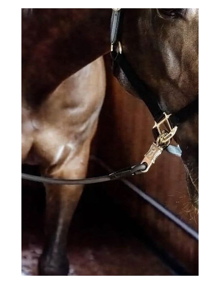 Kentucky Uppbindningsgrimskaft Silikon