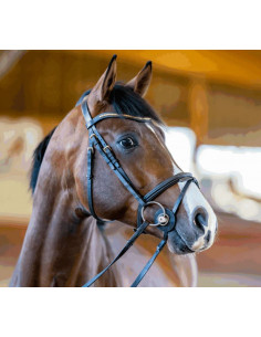 Nathe Standard Bit 20mm 2