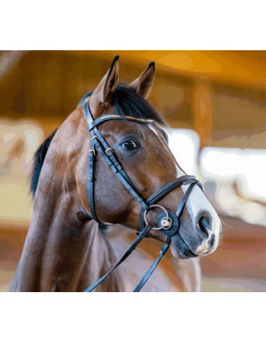 Nathe Standard Bit 20mm