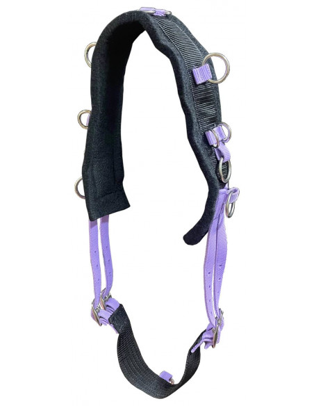 Tömkörningsgjord Minishetland/Shetland