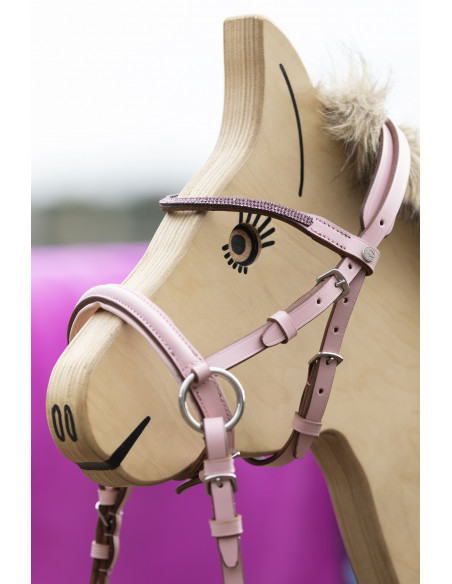 Käpphästträns Funny Horses 2 Rosa