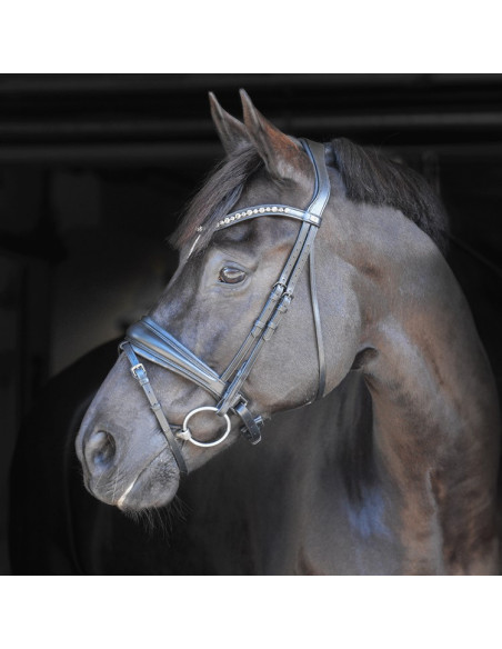 By Equality Line Dressyrträns Helix