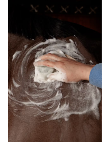 Kentucky GD Shampoo bar 60g