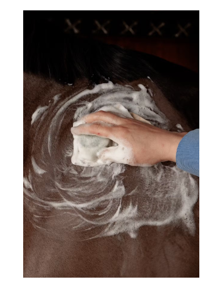 Kentucky GD Shampoo bar 60g