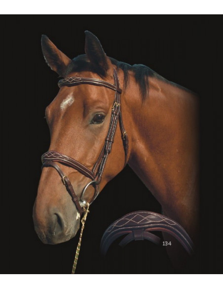 Dyón Anatomiskt träns, anatomisk nosgrimma