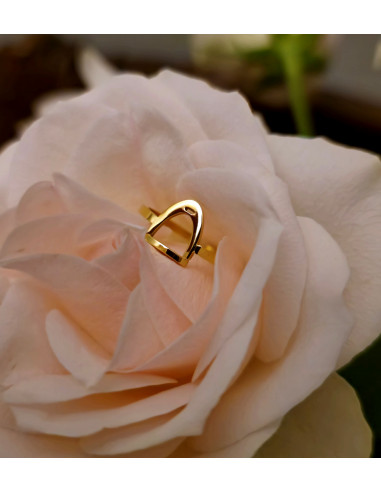 Stirrup Ring ställbar