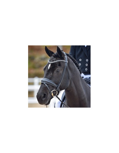 By Equality Line Dressyrträns Hamilton rundsytt