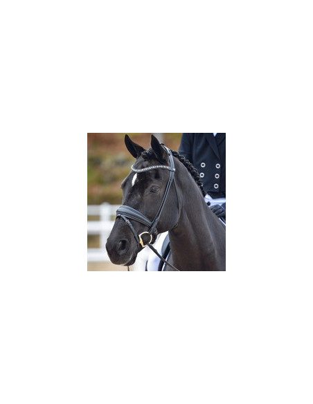 By Equality Line Dressyrträns Hamilton rundsytt