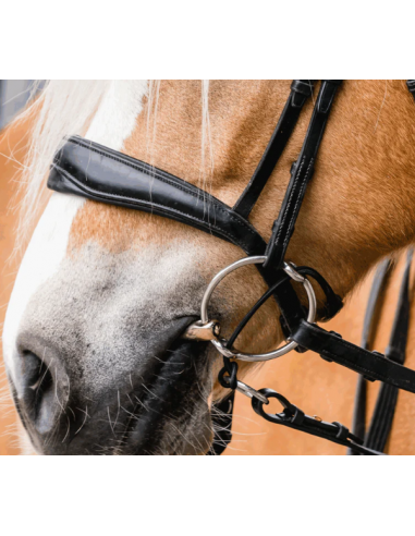 Sprenger Curbgag Rope Brun