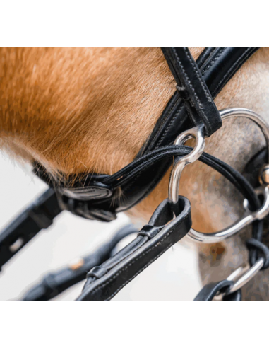 Sprenger Curbgag Rope Brun