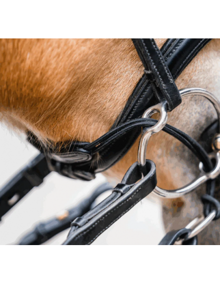 Sprenger Curbgag Rope Brun