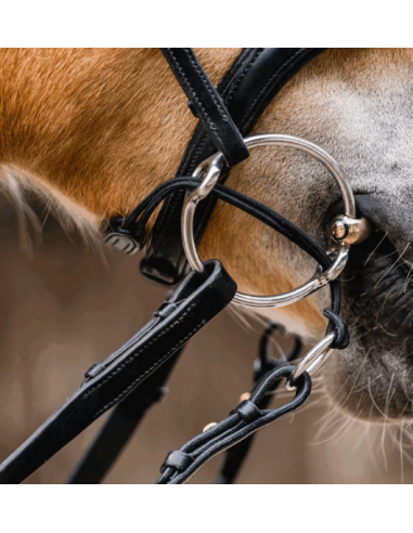 Sprenger Curbgag Rope Brun