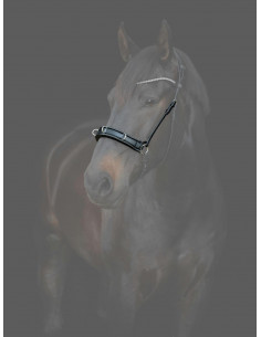 Catago Gentle Kapson