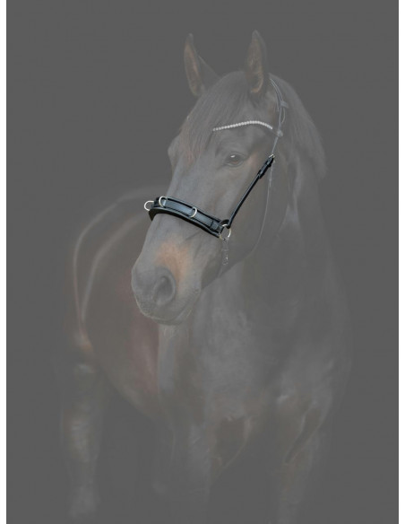 Catago Gentle Kapson