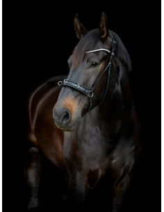 Catago Gentle Kapson 2