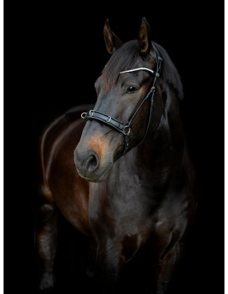 Catago Gentle Kapson