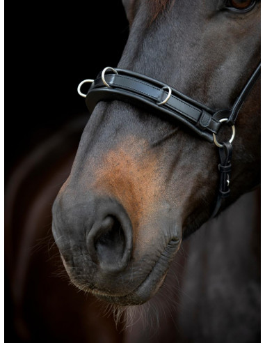 Catago Gentle Kapson