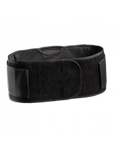 Back on Track Ryggbälte med stöd