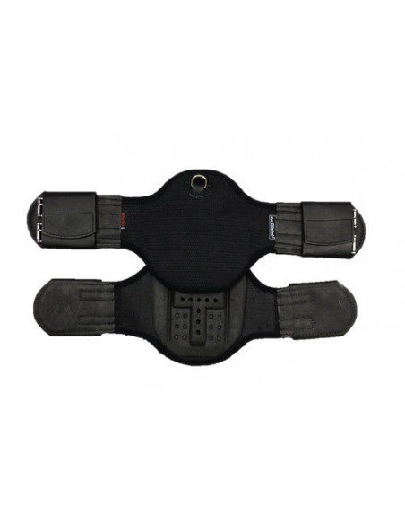 Gibaud-gjord Le Tixerant Dressyr