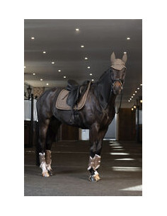 Eskadron Schabrak Sparkle Jewel 2