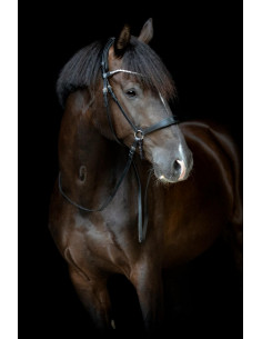 Catago Gentle Underkäkrem 2