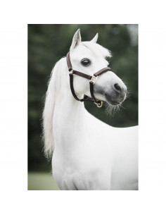 Lippo lädergrimma Miniature