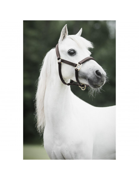 Lippo lädergrimma Miniature