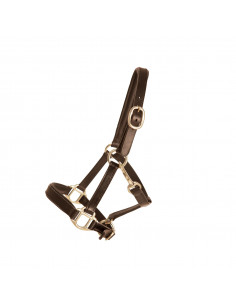 Lippo lädergrimma Miniature 2