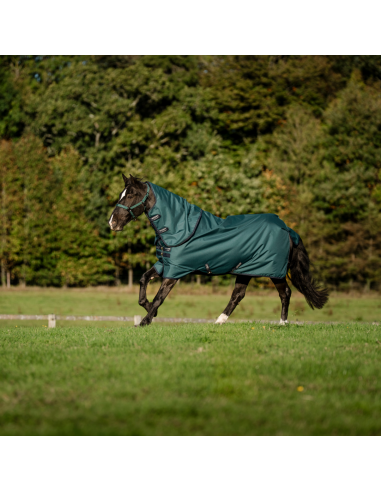 Amigo Ripstop 900D Plus Pony 50g