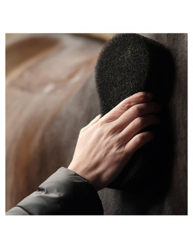 Grooming Svamp Svart