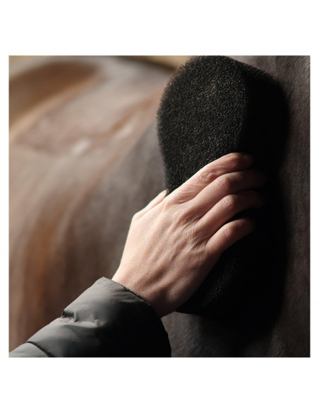 Grooming Svamp Svart