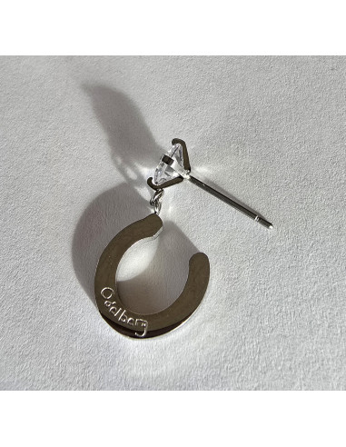 Örhänge Hästsko med sten