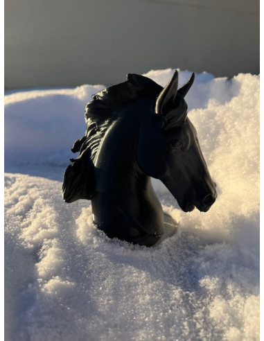 Kulskydd Hästhuvud till dragkrok