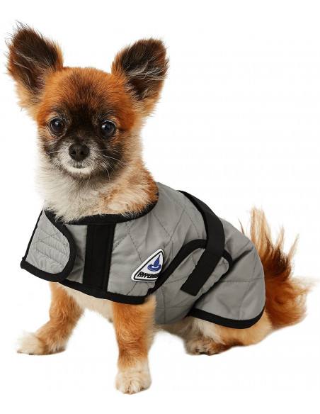 Techniche Hyperkewl cooling dog