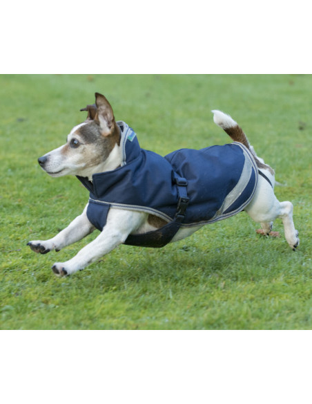 Runsten Bucas Freedom hundtäcke