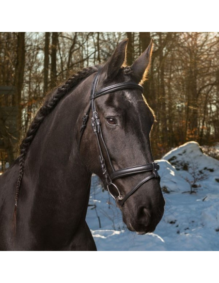 Globus träns Super Soft