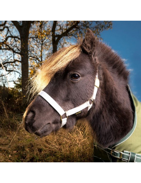 Globus Fölgrimma nylon