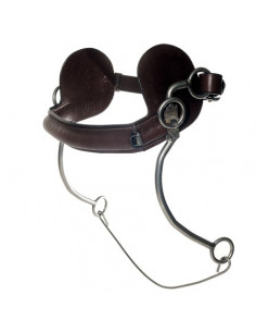 Kate Negus German Hackamore