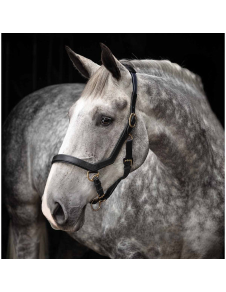 Horseware Rambo Micklem Headcollar