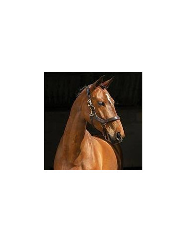 Horseware Rambo Micklem Headcollar