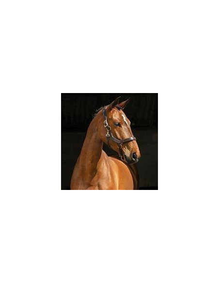 Horseware Rambo Micklem Headcollar