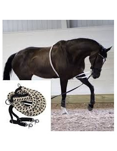 Treadworld Longeringshjälp 2