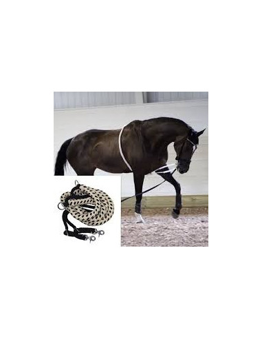 Treadworld Longeringshjälp